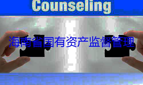 资产监督管海南省国有理委员会党有福接受审委副书记王查调查
